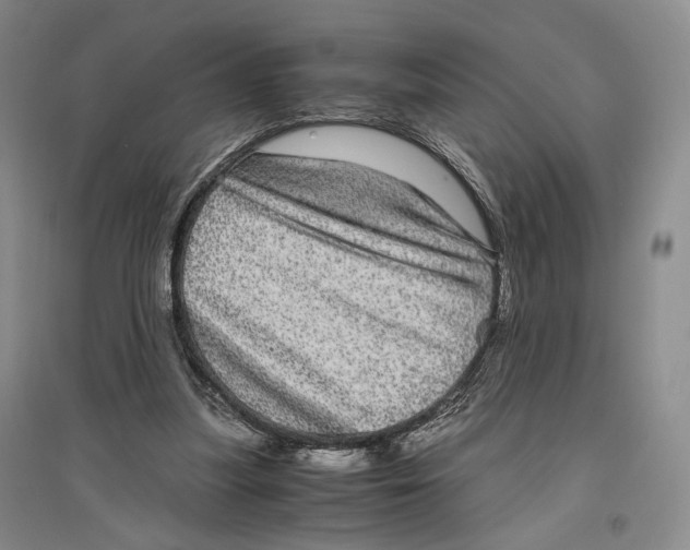 X0000096420251200802211130