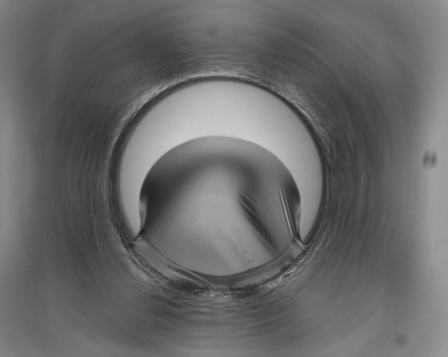 X0000096420252200802211130