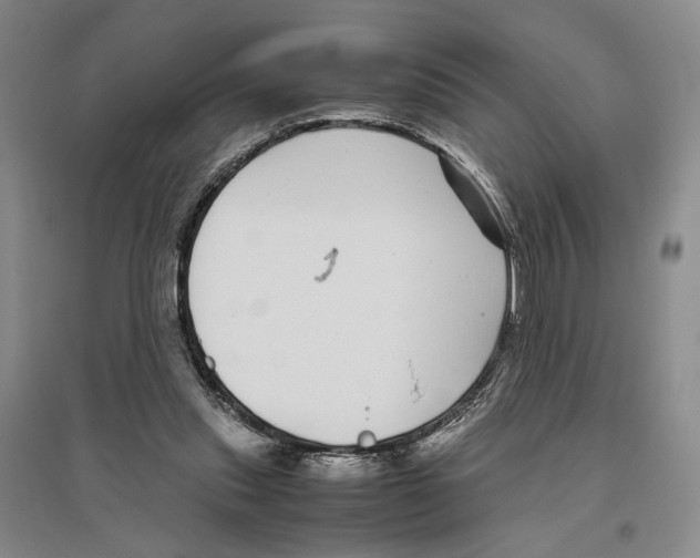 X0000096420253200802211130