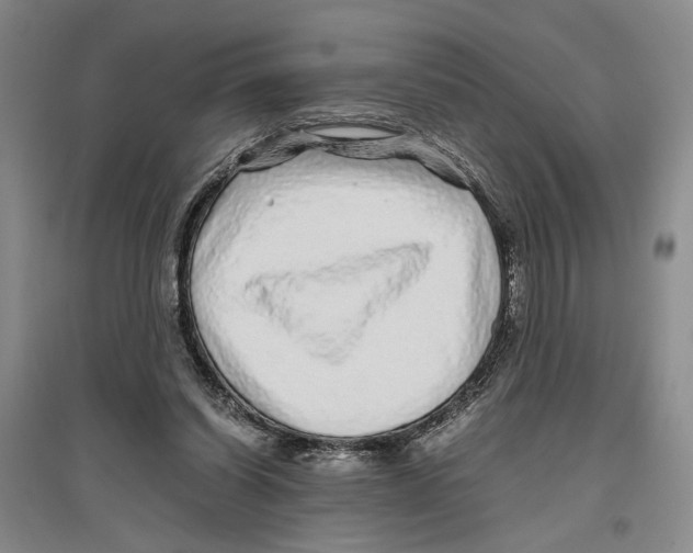 X0000096420254200802211130