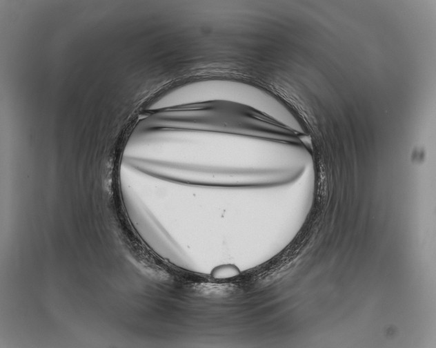 X0000096420255200802211130