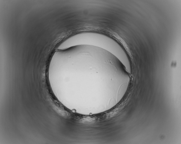 X0000096420257200802211130