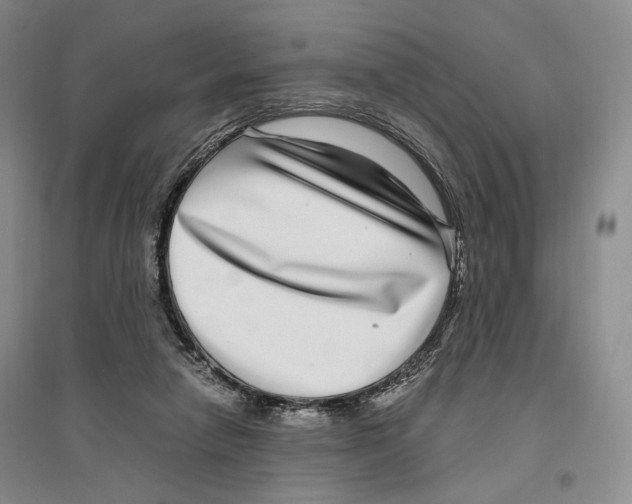 X0000096420258200802211130