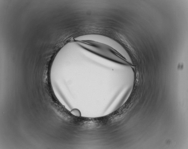 X0000096420259200802211130