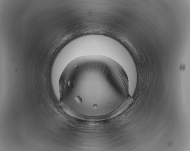 X0000096420260200802211130
