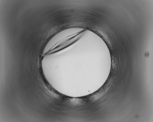 X0000096420261200802211130