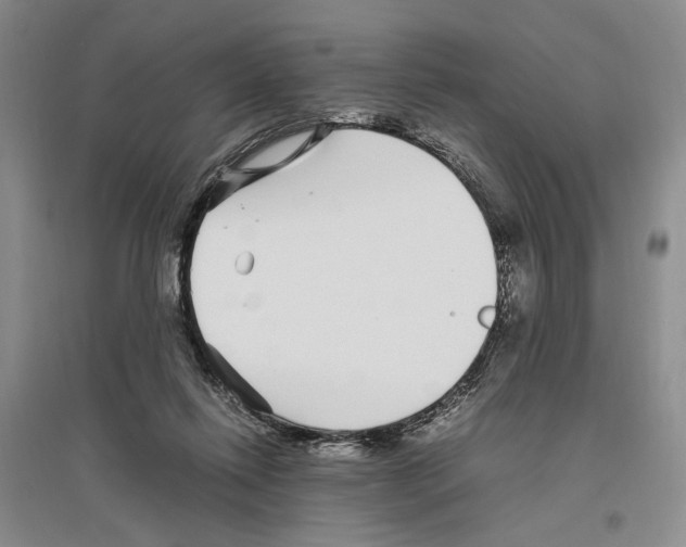 X0000096420262200802211130