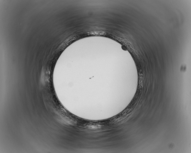 X0000096420263200802211130