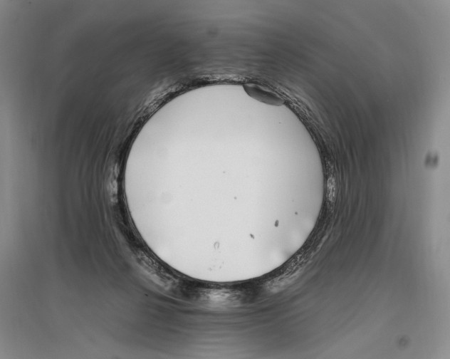 X0000096420264200802211130