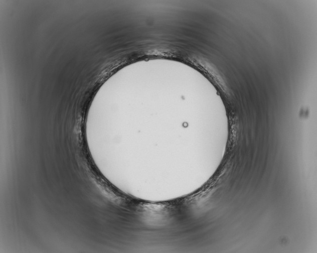 X0000096420265200802211130