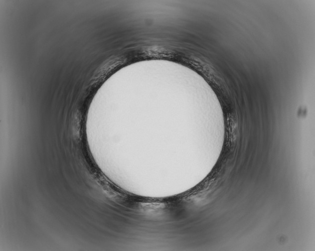 X0000096420266200802211130