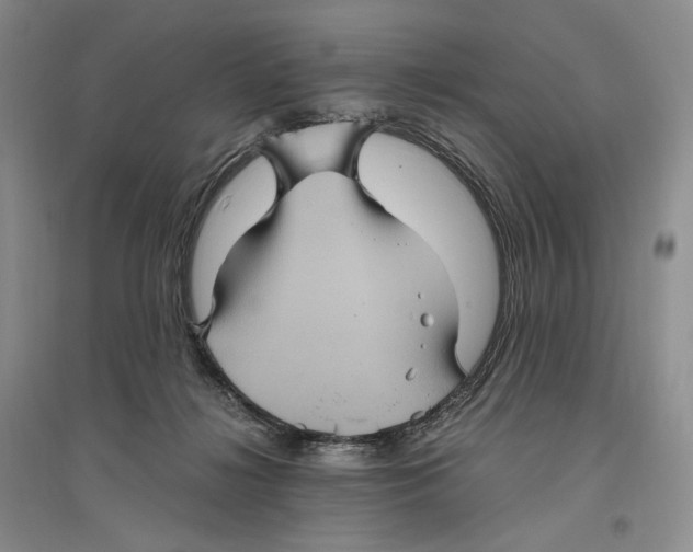 X0000096420268200802211130