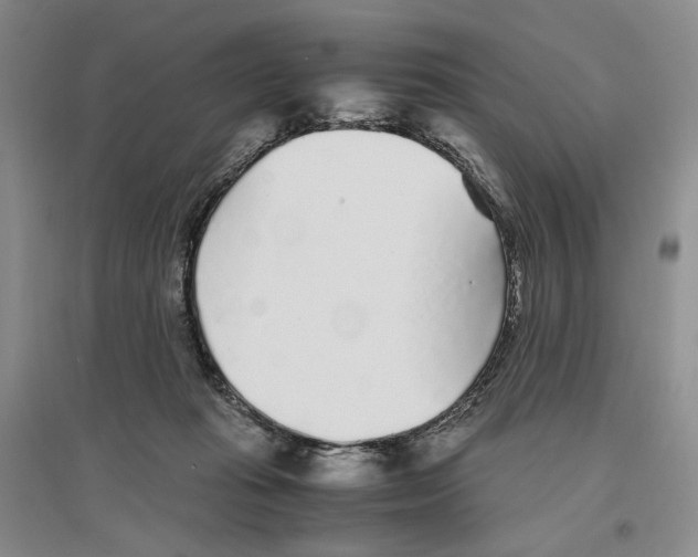X0000096420269200802211130