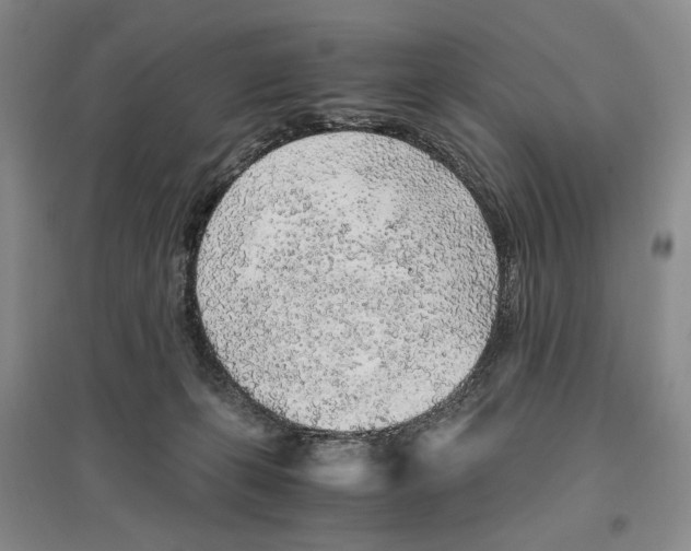 X0000096420271200802211130