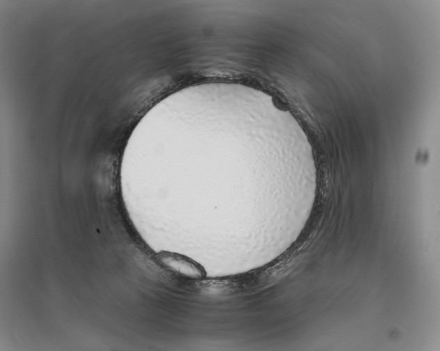 X0000096420273200802211130