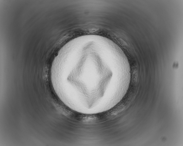 X0000096420274200802211130