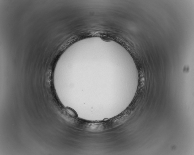 X0000096420275200802211130