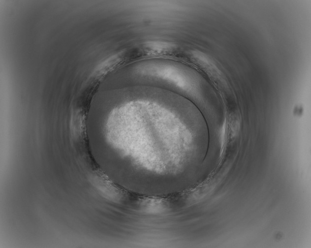 X0000096420276200802211130