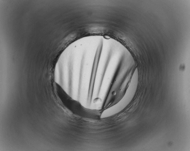 X0000096420277200802211130