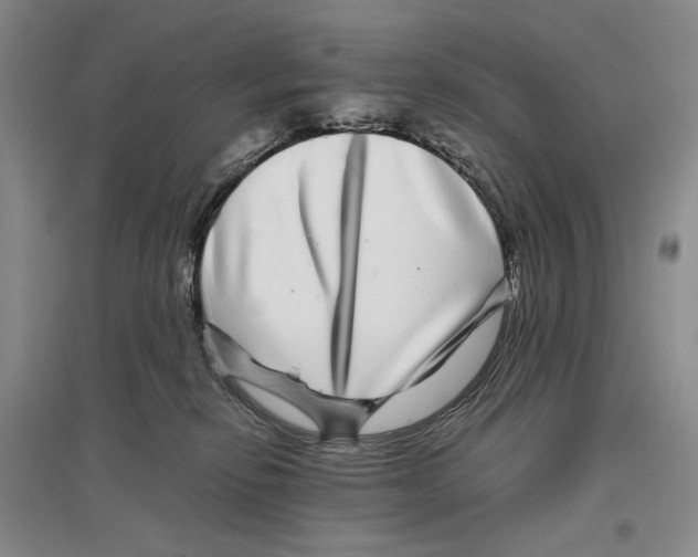 X0000096420278200802211130