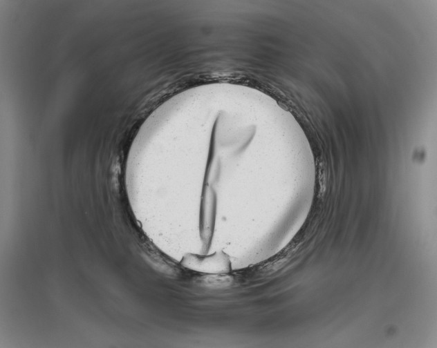 X0000096420279200802211130