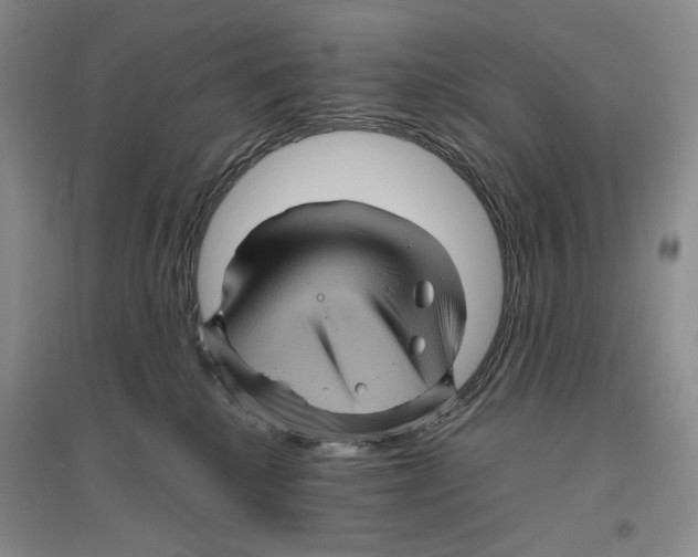 X0000096420280200802211130