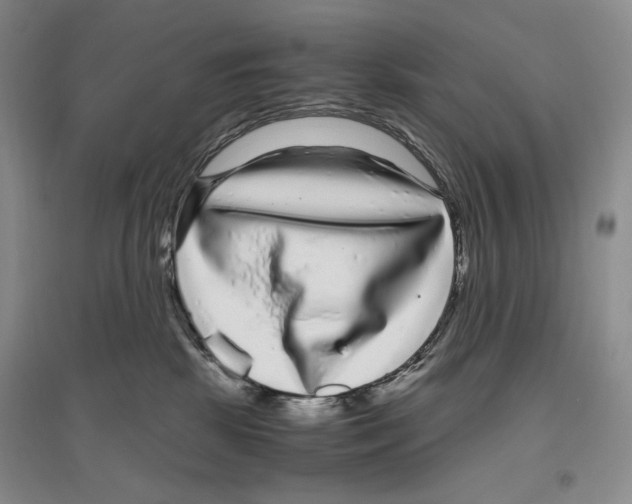 X0000096420281200802211130