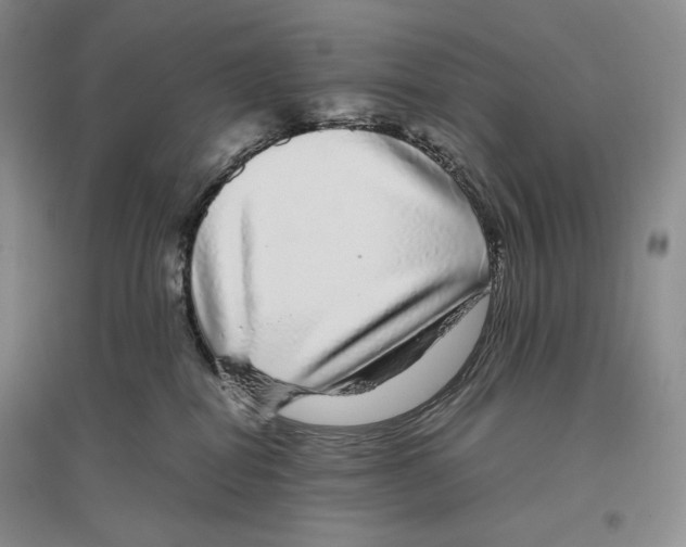 X0000096420282200802211130