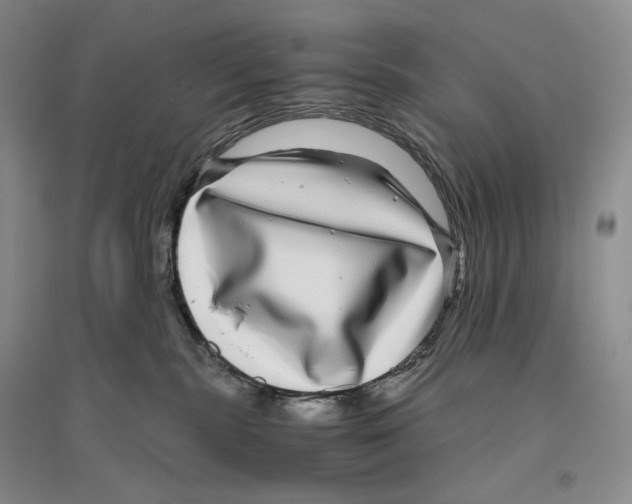 X0000096420283200802211130