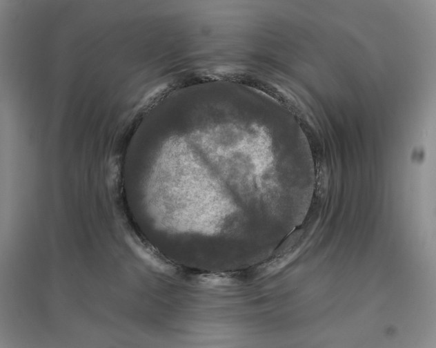 X0000096420284200802211130