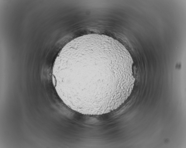 X0000096420285200802211130