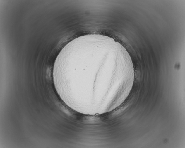 X0000096420286200802211130
