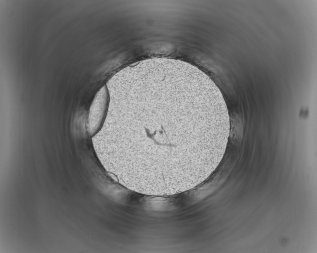 X0000096420287200802211130
