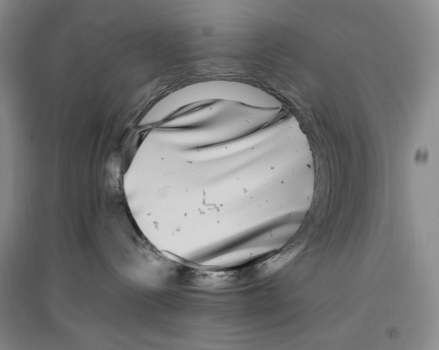 X0000096420288200802211130