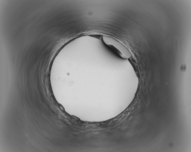 X0000096420289200802211130