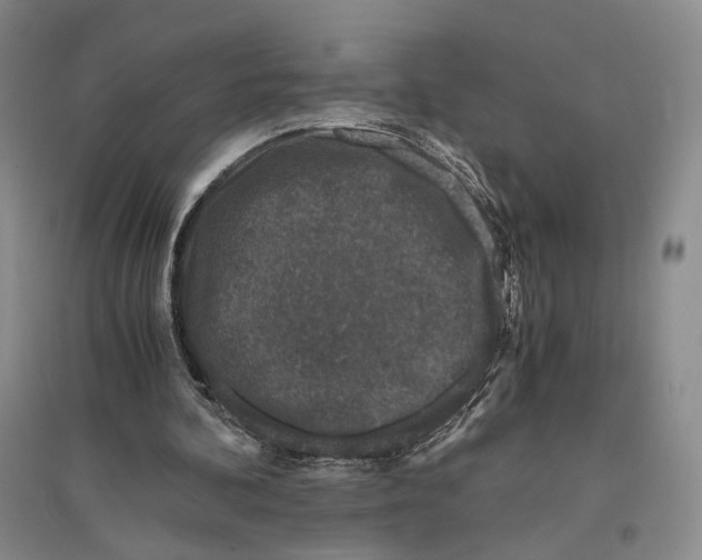 X0000096420292200802211130