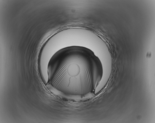X0000096420293200802211130