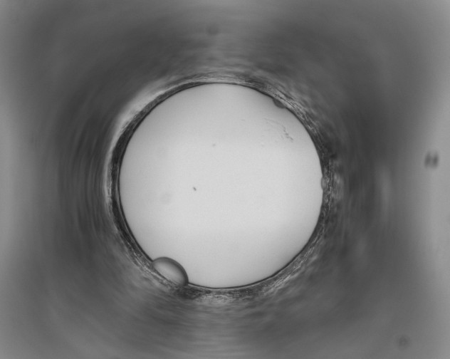X0000096420294200802211130