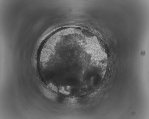 X0000096420295200802211130