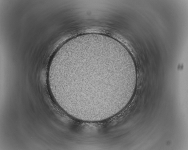 X0000096420297200802211130
