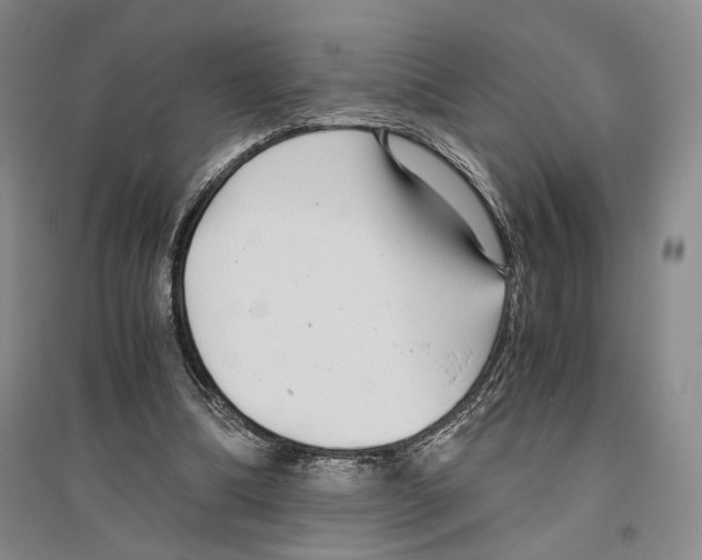 X0000096420298200802211130