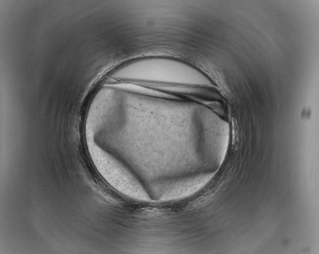 X0000096420300200802211130