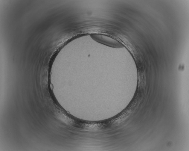 X0000096420301200802211130