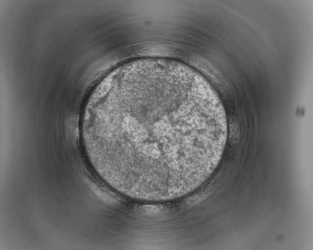 X0000096420302200802211130