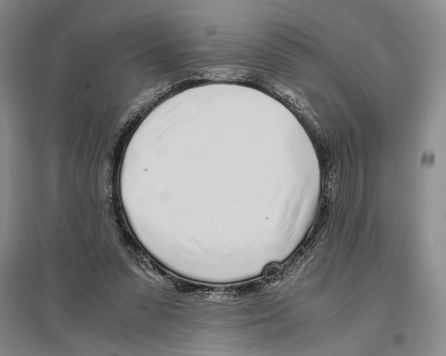 X0000096420303200802211130