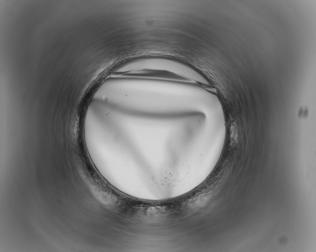 X0000096420304200802211130
