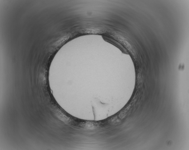 X0000096420305200802211130