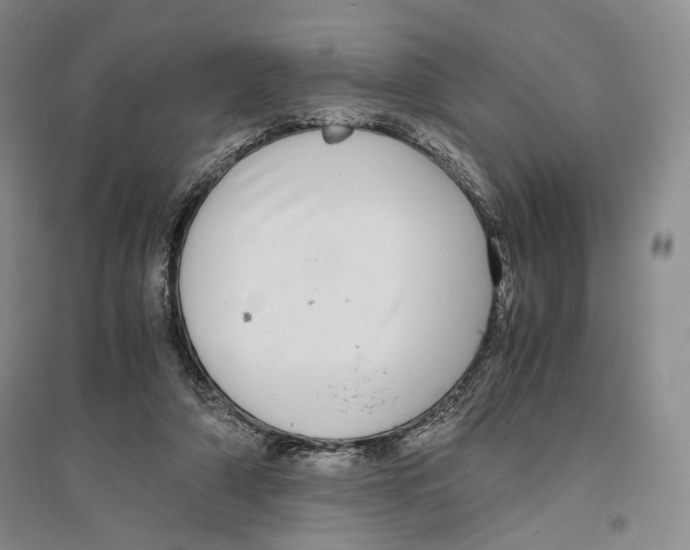 X0000096420306200802211130