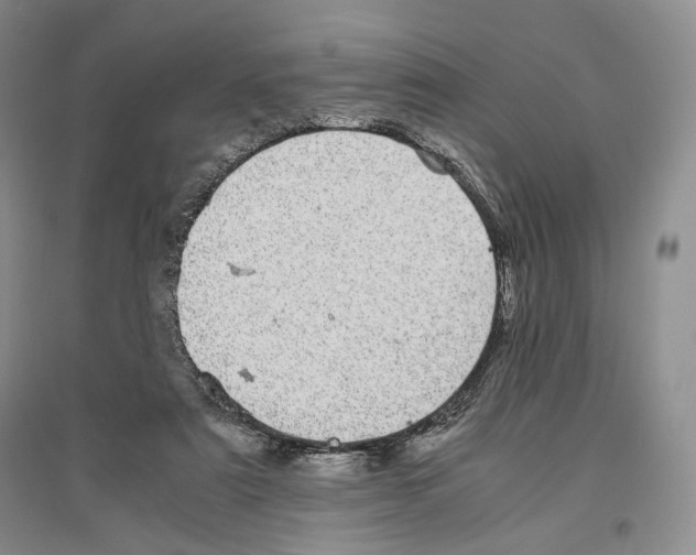X0000096420307200802211130