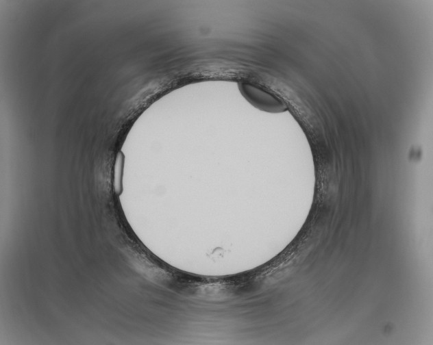 X0000096420309200802211130
